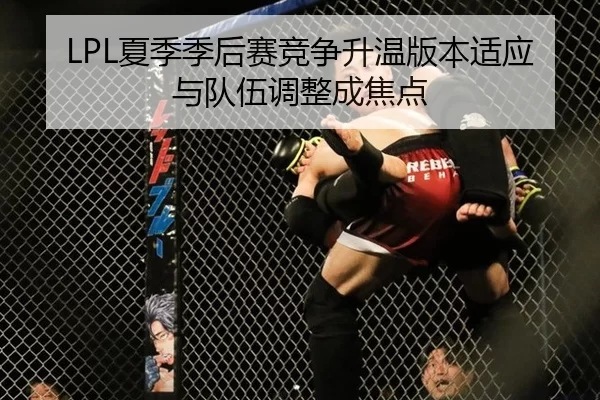 LPL夏季季后赛竞争升温版本适应与队伍调整成焦点